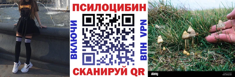 Галлюциногенные грибы MAGIC MUSHROOMS  дарнет шоп  Сысерть 